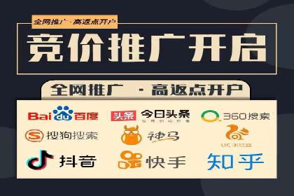 成功案例：网络推广与竞价广告的完美结合